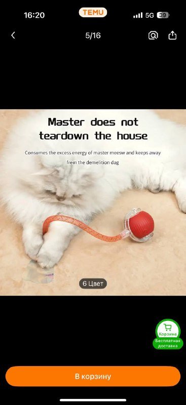 Две игрушки и две шлейки для котика 6