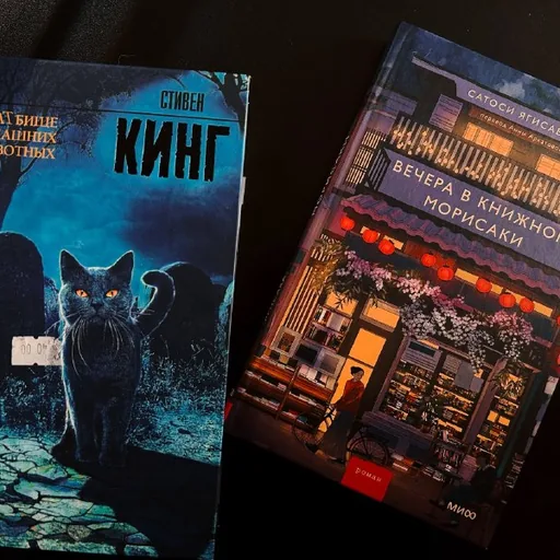 Кладбище домашних животных, Вечера в книжном Морисаки
