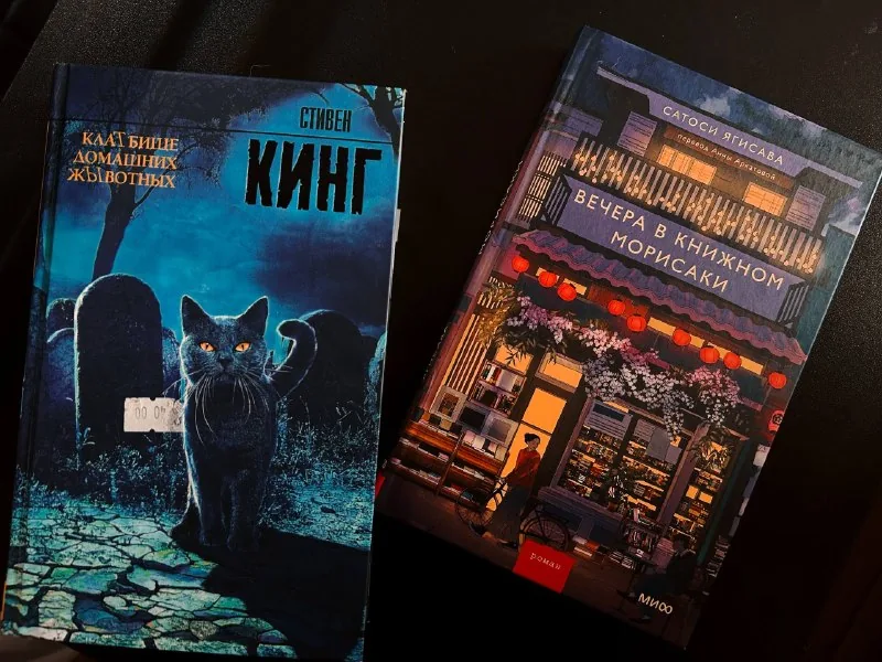 Кладбище домашних животных, Вечера в книжном Морисаки 1