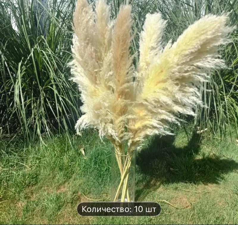 Высокие растения в комплекте 10 шт