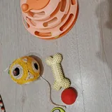 Поводок, лежанка для котов, игрушки, шлейка 3