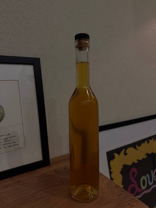 Чайный гриб для комбучи, 2 штуки 3