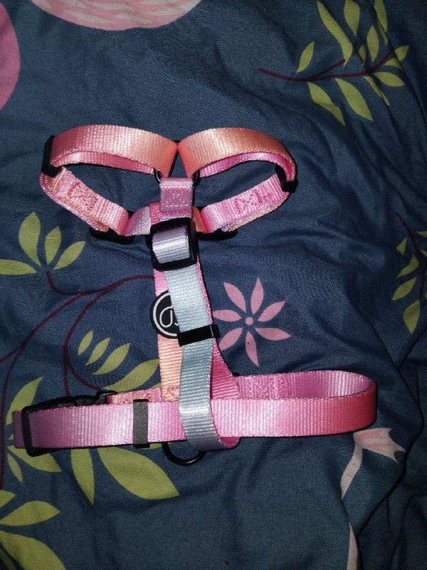 Анатомическая шлейка для собаки размер M