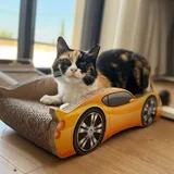 Кошка Элис 3
