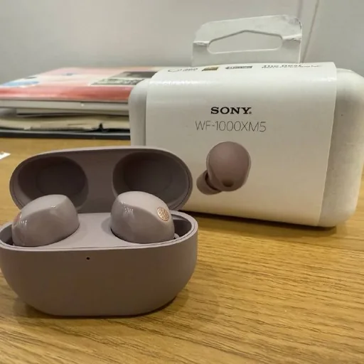 Наушники Sony WF-1000XM5