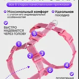 Анатомическая шлейка для собак 2