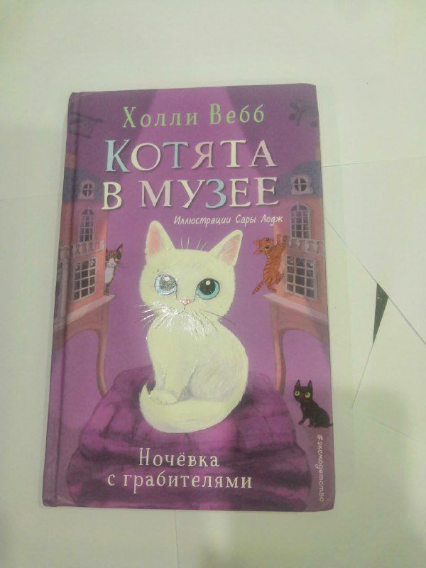 Детская книга Котята в Музее