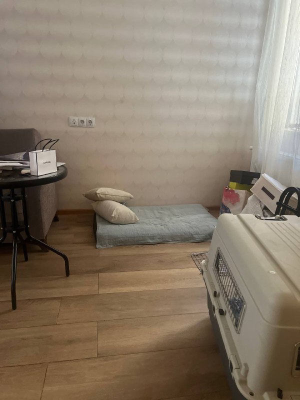 Лежанка для собаки размером с Лабрадора