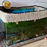 Аквариум с рыбками и улитками 4