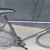 Bear Bike синглспид 5