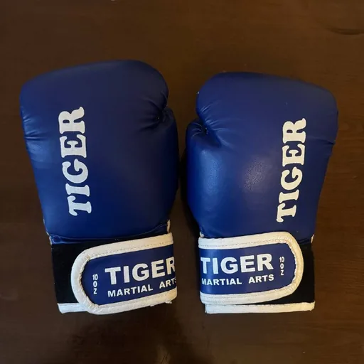 Боксерские перчатки Tiger 10 унций