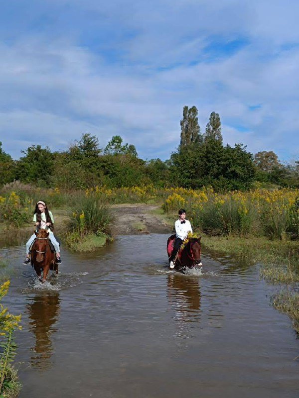 Конные туры по Шекветили и Натанеби 5