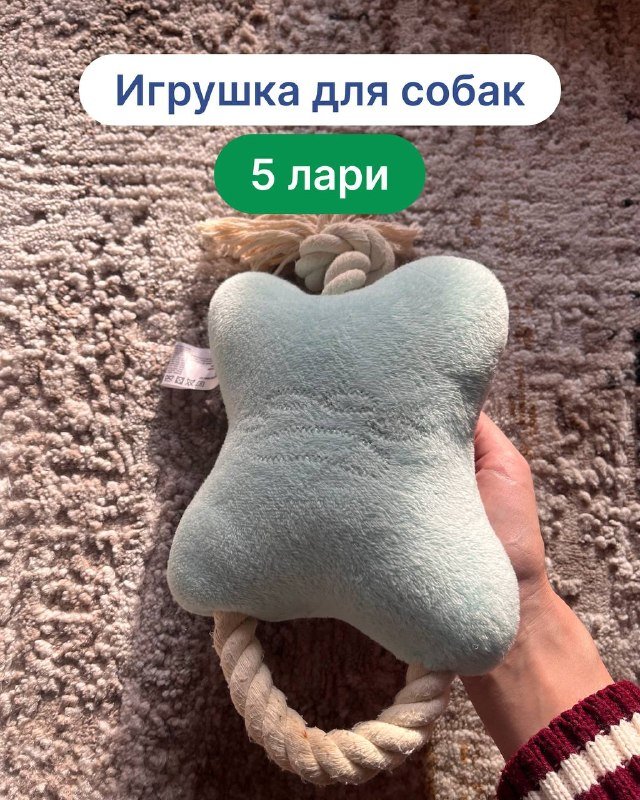 миксер, мольберт, книги, зонты, игрушка для собак, коврик для йоги, игра денежный поток 6