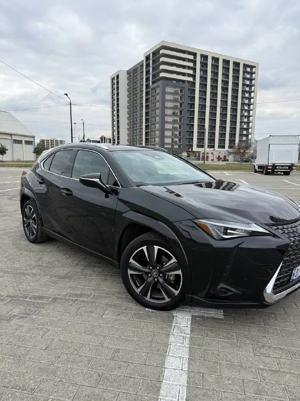 Lexus UX 300h 2024 1