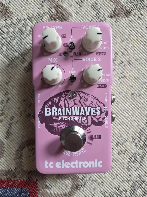 TC Electronic Brainwaves Pitch Shifter 1