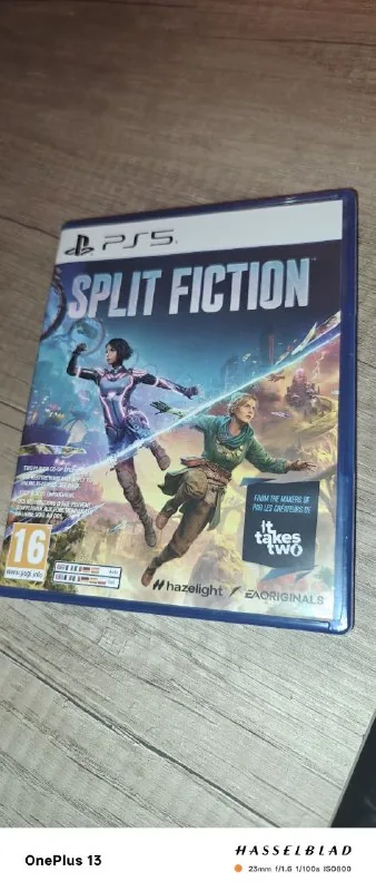 Split Fiction