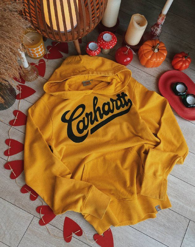 Худи Anti Social Social Club, True Religion, Trapstar, Element, Alpha Industries, Carhartt, Karl Kani 6