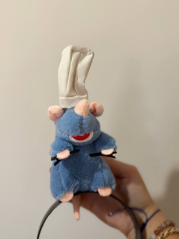 Ободок Рататуй 5