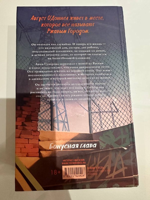 книги Любовь к несовершенству, Ржавчина 4
