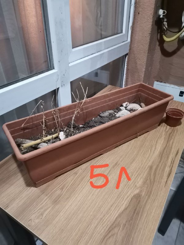 Комнатные цветы, лейка, горшок, корзинка для вещей, корзина для белья 4