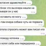 კნუტისთვის დროებითი მოვლაა საჭირო 3