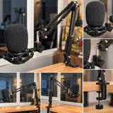 Microphone with boom arm, microphone on stand 1
