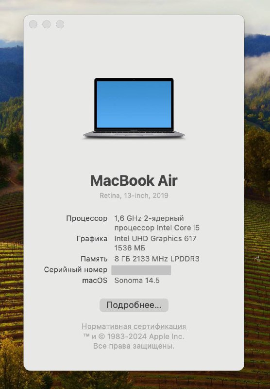 Apple MacBook Air 2019 (Intel i5, 128GB) 5