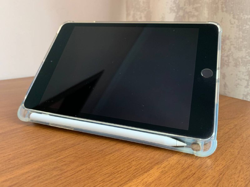 iPad mini 5, 64 gb, Space Gray, with accessories 4