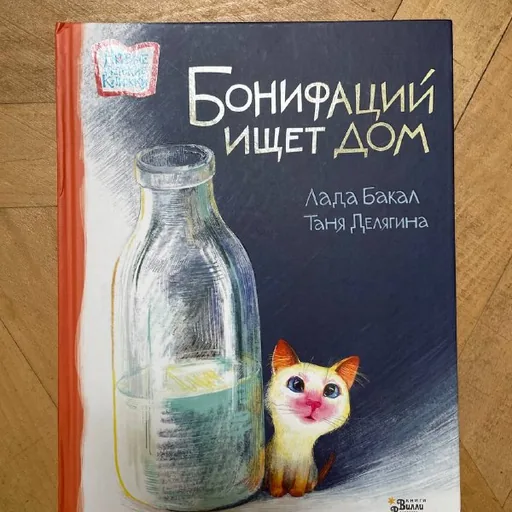 Children’s book “Boniface Is Looking for a Home”