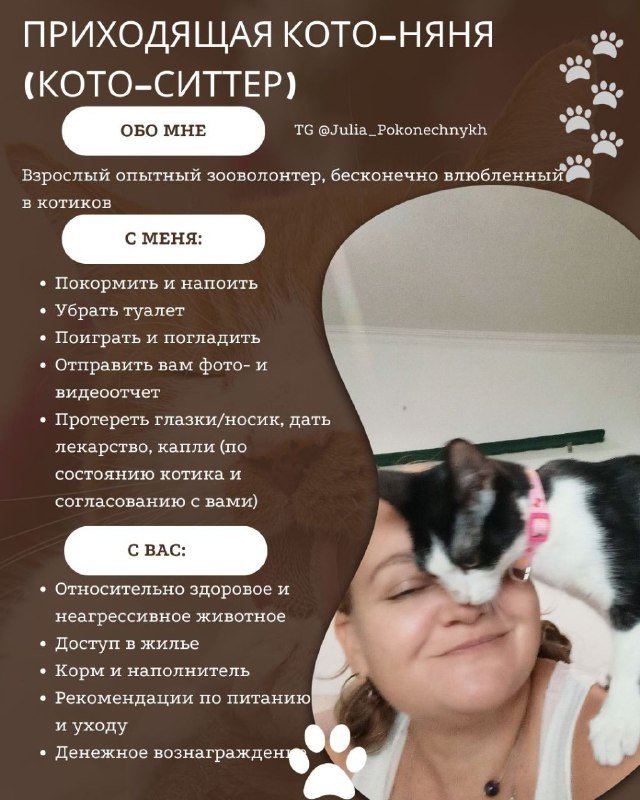 Приходящая кото-няня (пэтситтер) услуги ухода за котом