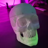 3D-принтер, пластик, череп, покерный набор 4
