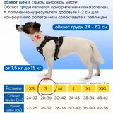 Анатомическая шлейка с поводком и адресником 5