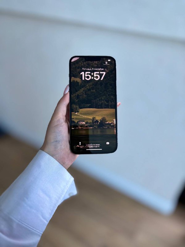 iPhone 13 Pro Max 256 GB, Электросамокат Xiaomi Scooter