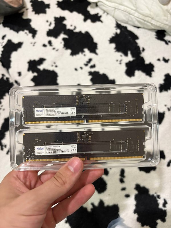 Оперативная память Netac 2x8ГБ DDR5 4800 МГц