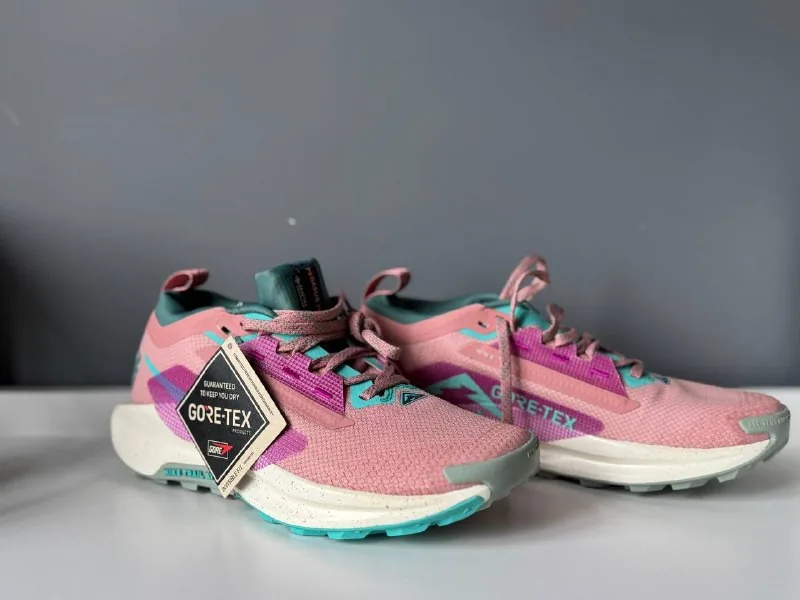 Женские кроссовки Nike Pegasus Trail 5 Goretex 1