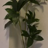 Искусственное растение 1