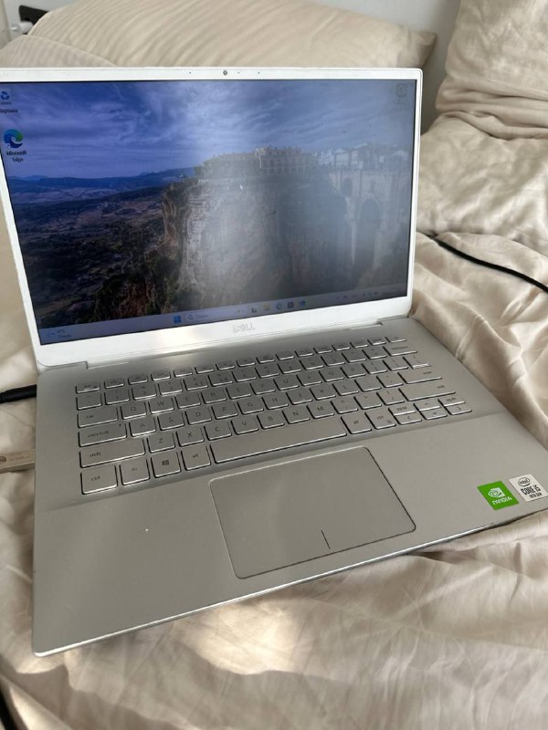 Dell Inspiron 14 7490 Laptop