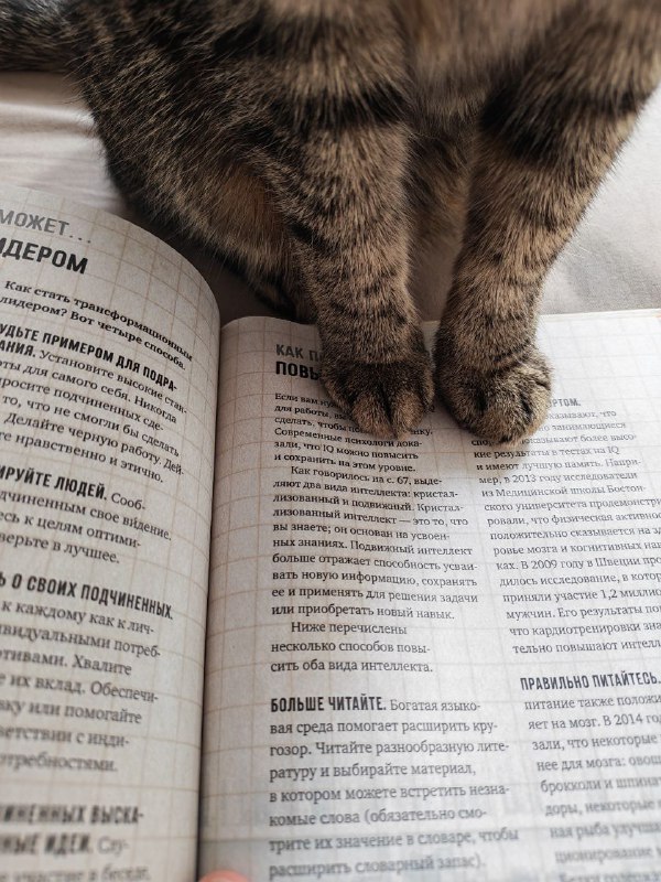 Книга Взлом психологии 9