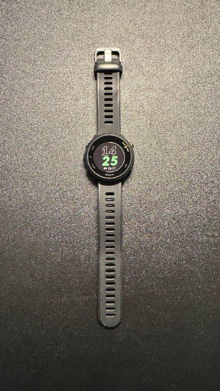 Garmin Forerunner 55