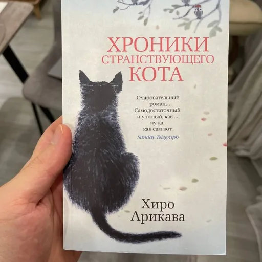 Хроники странствующего кота