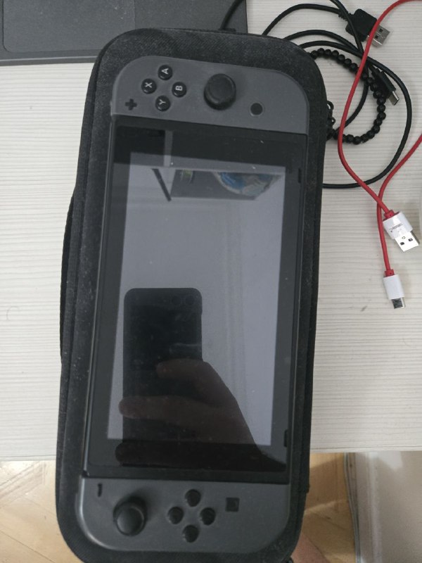 Nintendo Switch 1 ревизия прошит, Руль Logitech 2