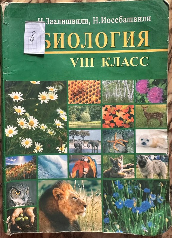 Книги 6