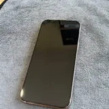 iPhone 16 Pro Max 256 GB 1