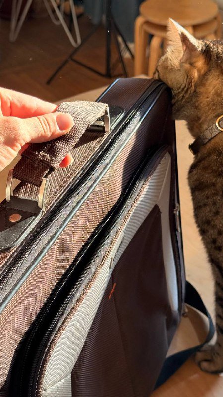 Кейс для ноутбука больших форматов 2