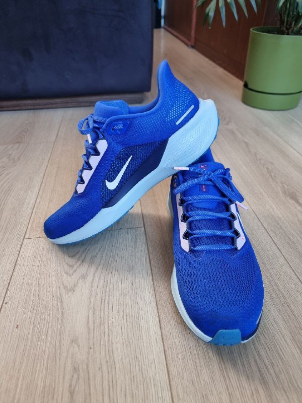 Беговые кроссовки Nike Pegasus 41 мужские US 10.5 EU 44.5