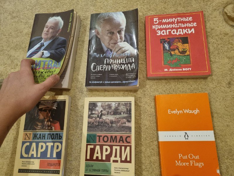 Книги Михаил Литвак, Даяна Вогт, Жан Поль Сартр, Томас Гарди, Evelyn Waugh 2