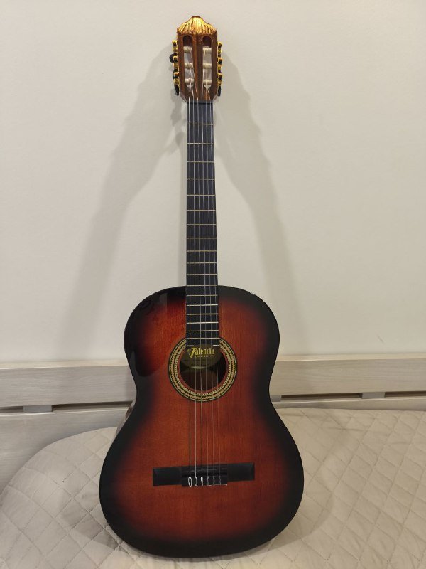 Классическая гитара Valencia VC264