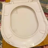 Стульчак с крышкой для унитаза 2