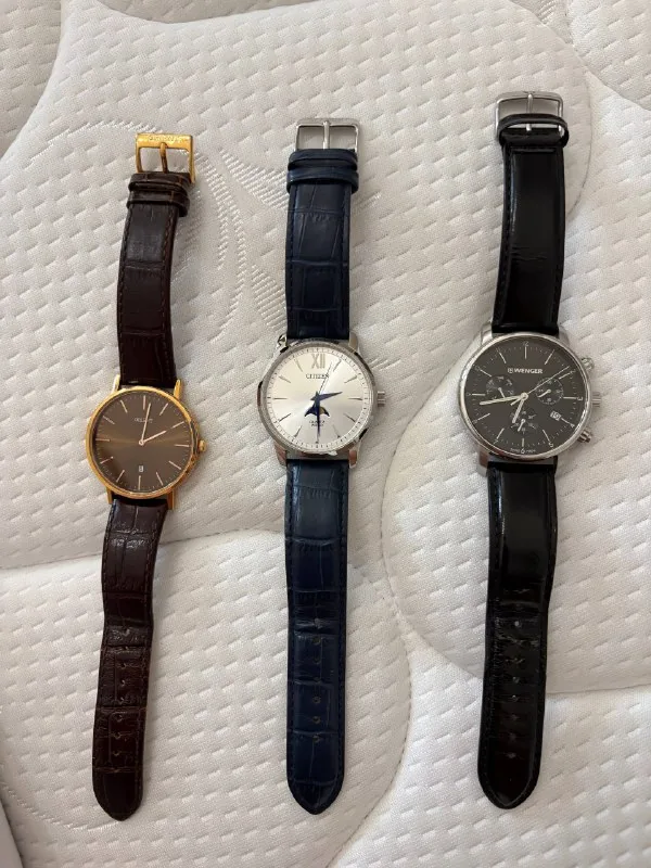 Часы Citizen, Orient, Wenger 1