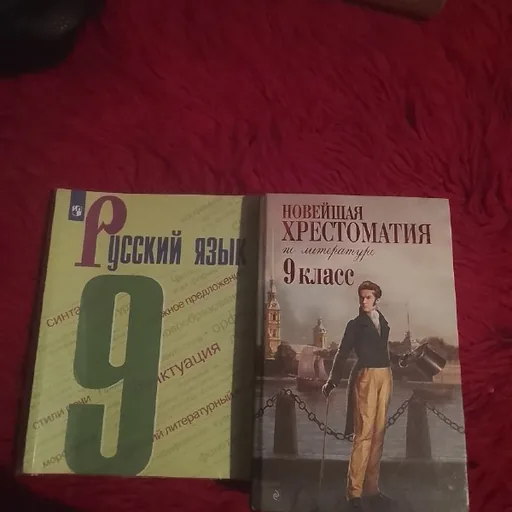 Учебники по русскому языку и литературе, 9 класс